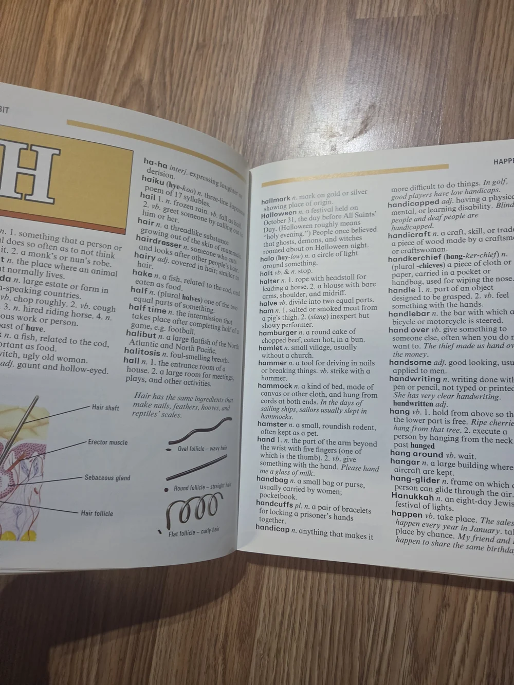 The Children’s Dictionary - Yellow Kids Book